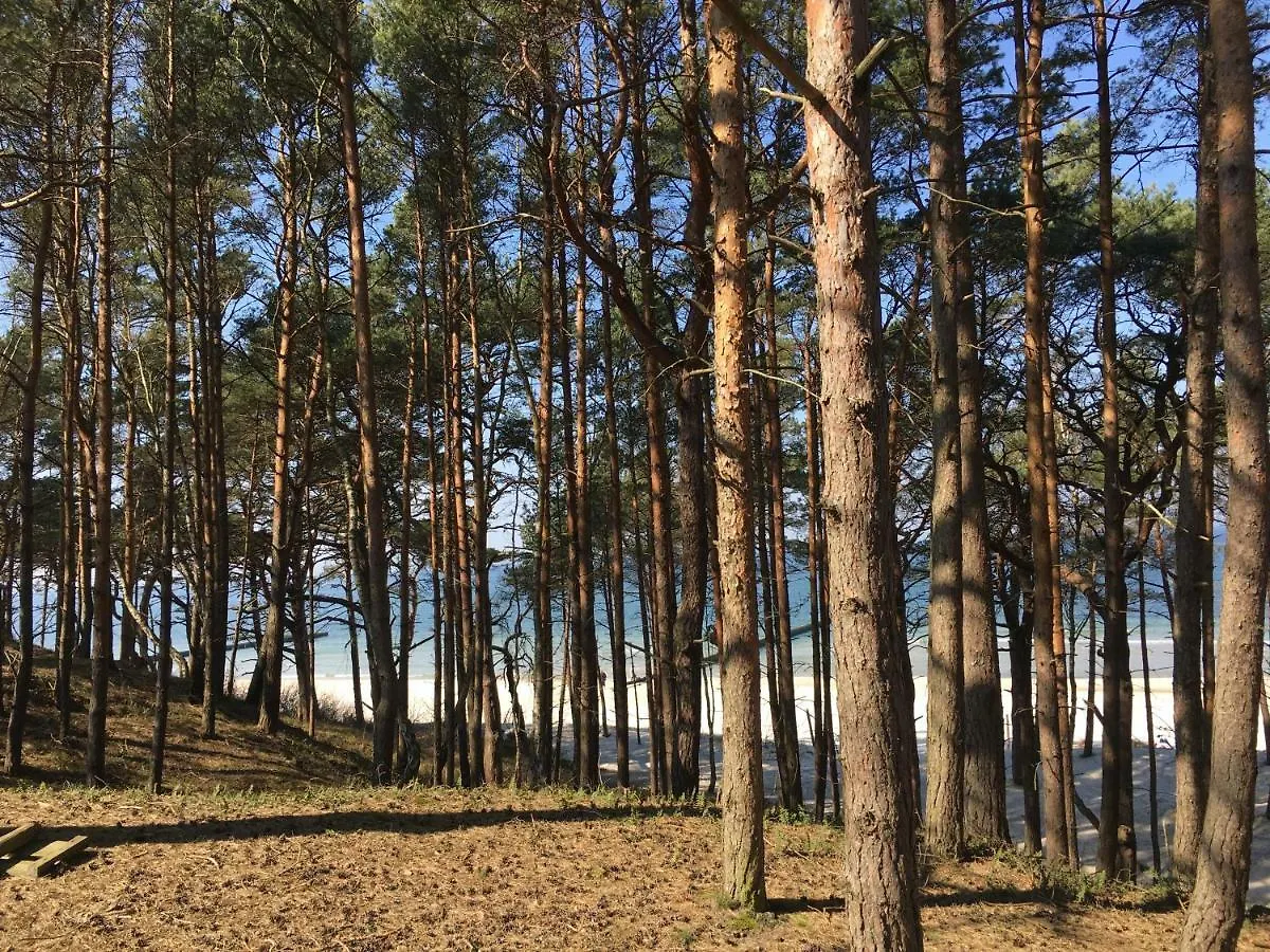 Domki Magnolia Dzwirzyno 0*,  Poland